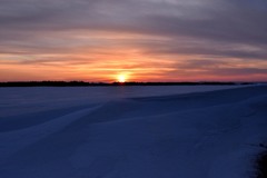 雪原