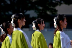 よさこい