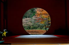 鎌倉　明月院