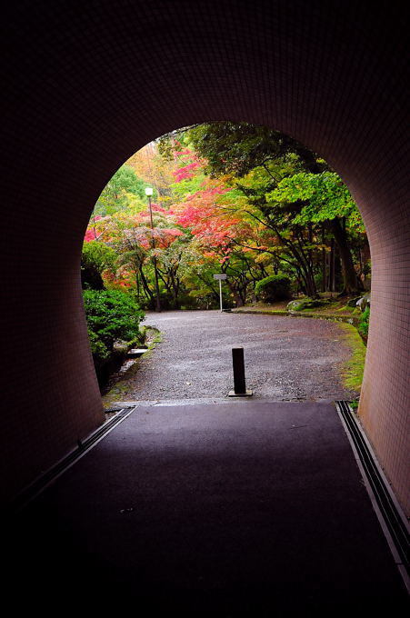 トンネルをぬけたら・・・