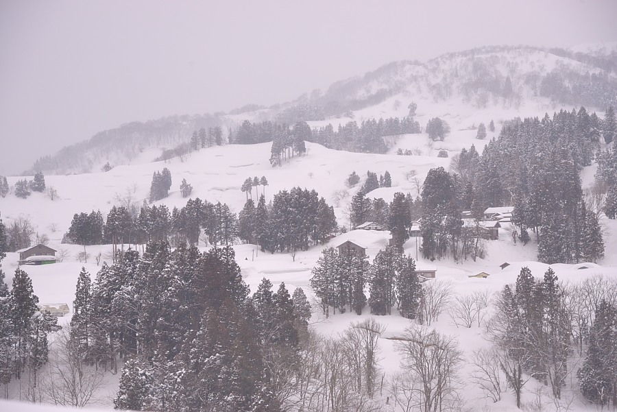 雪の里