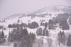雪の里