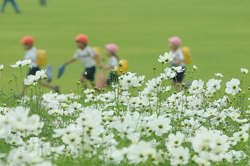 遠足