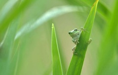 在庫さがし