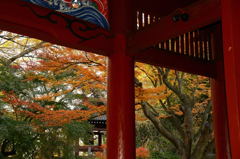 抄本寺 抄本寺