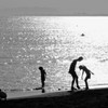 海