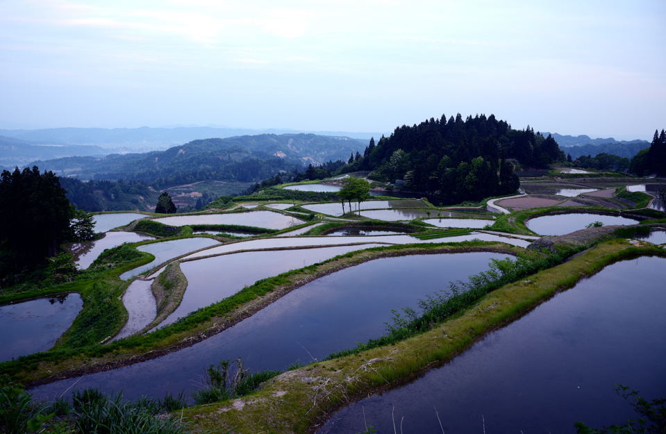 棚田の朝