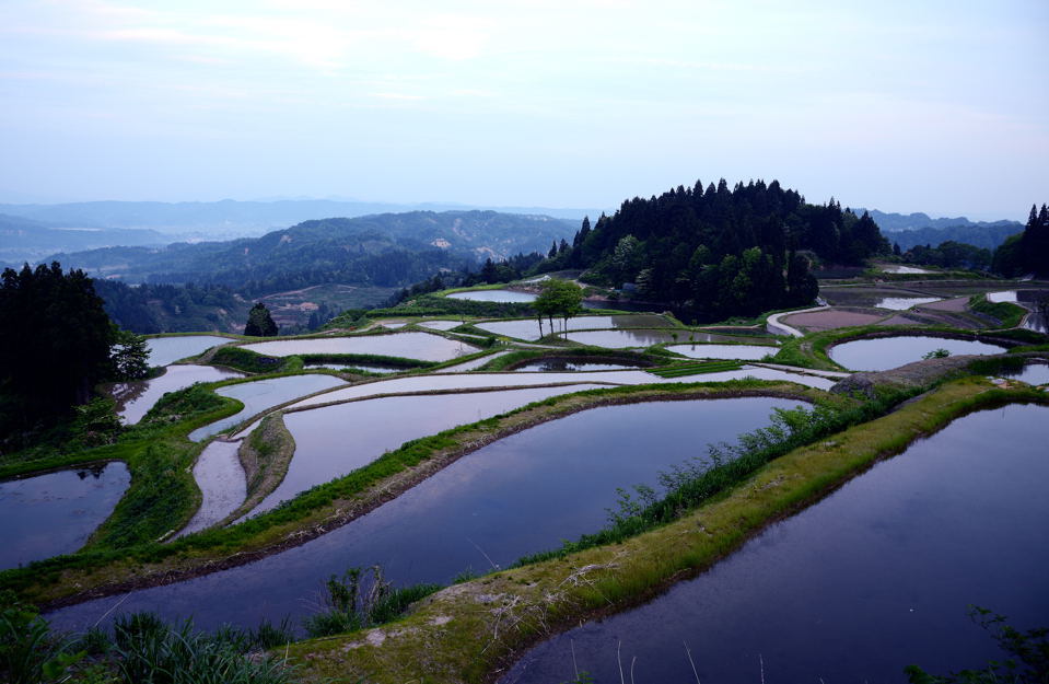 棚田の朝