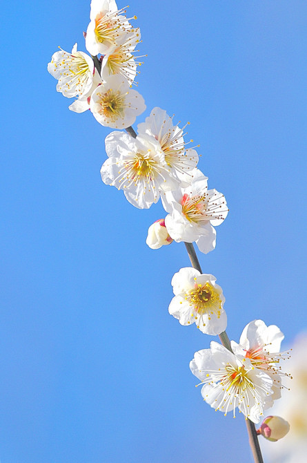 青空
