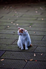 孤独