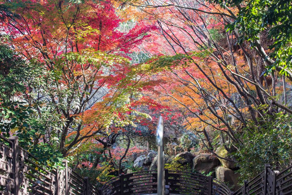 今年の一枚