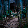 竹の細道
