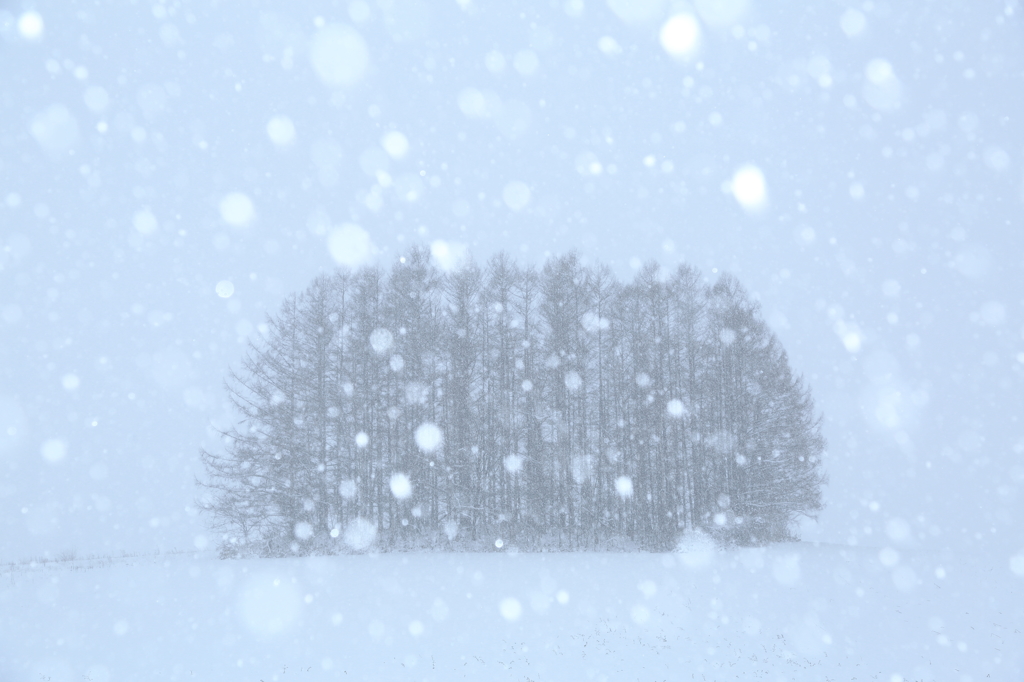雪、深々と