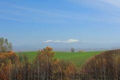 冠雪と黄葉の丘