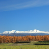 蒼天白峰黄葉なる景色