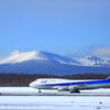 ANA's 747~2014 Final