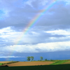 虹の立つ丘
