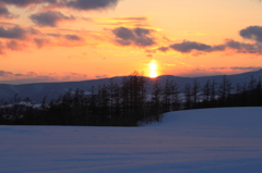晩冬～暮れる丘