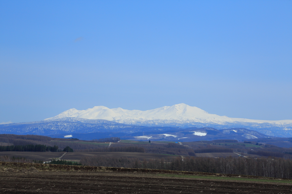 青空 雪の山 褐色の大地