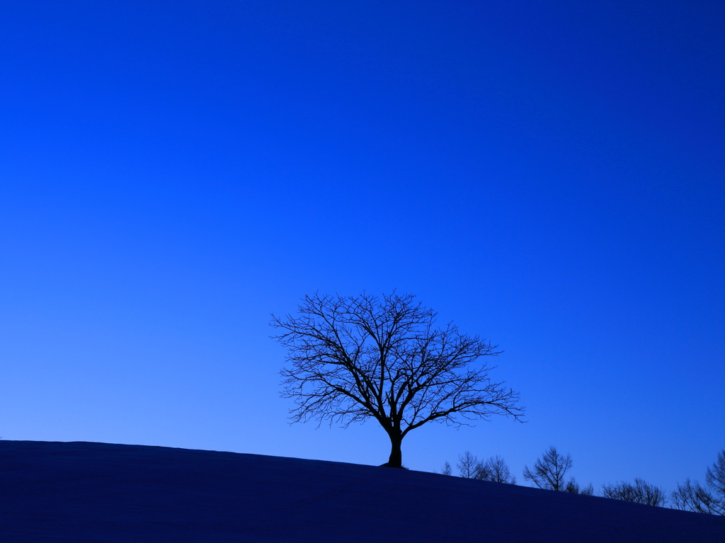 Blue before dawn