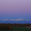Venus line gradation