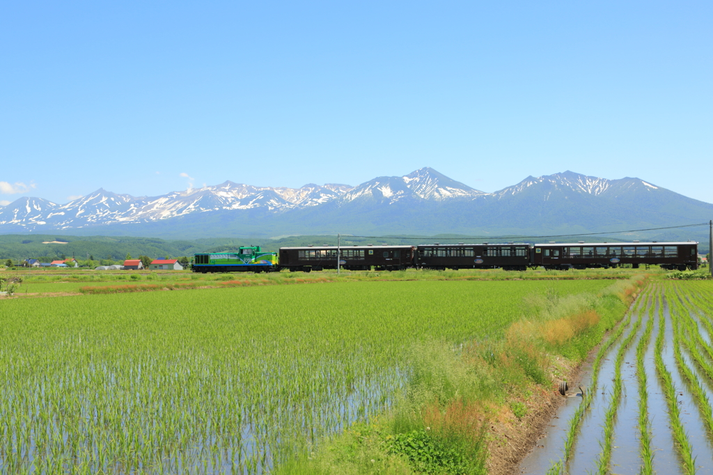 ノロッコ号～田園と十勝岳