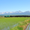 ノロッコ号～田園と十勝岳