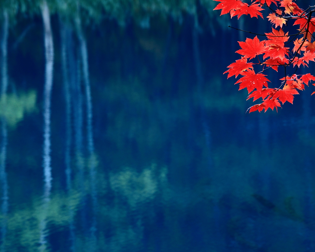 蒼く紅く白く