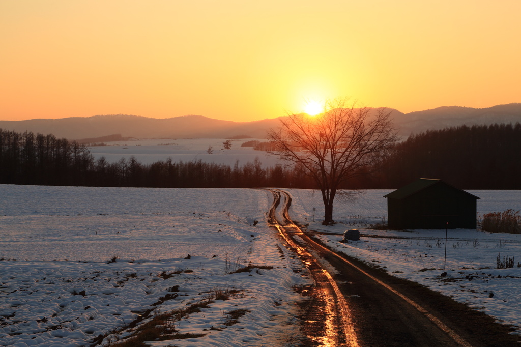 土路の夕景