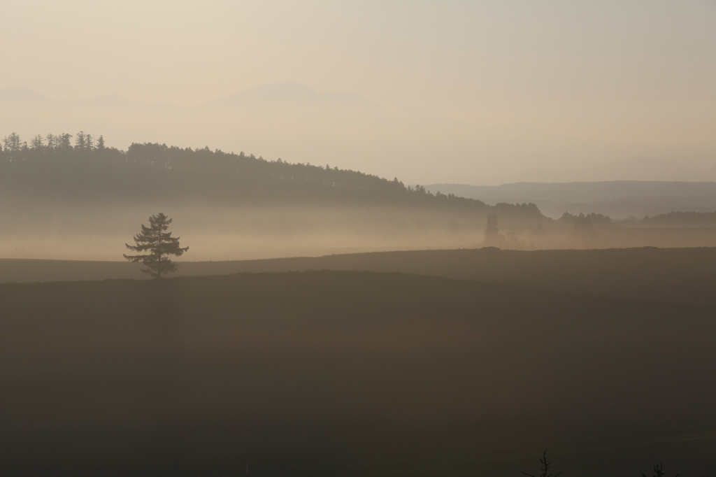 Morning mist