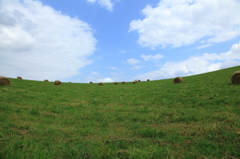 草原と牧草ロール