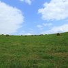 草原と牧草ロール