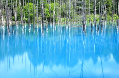 初夏の青い池