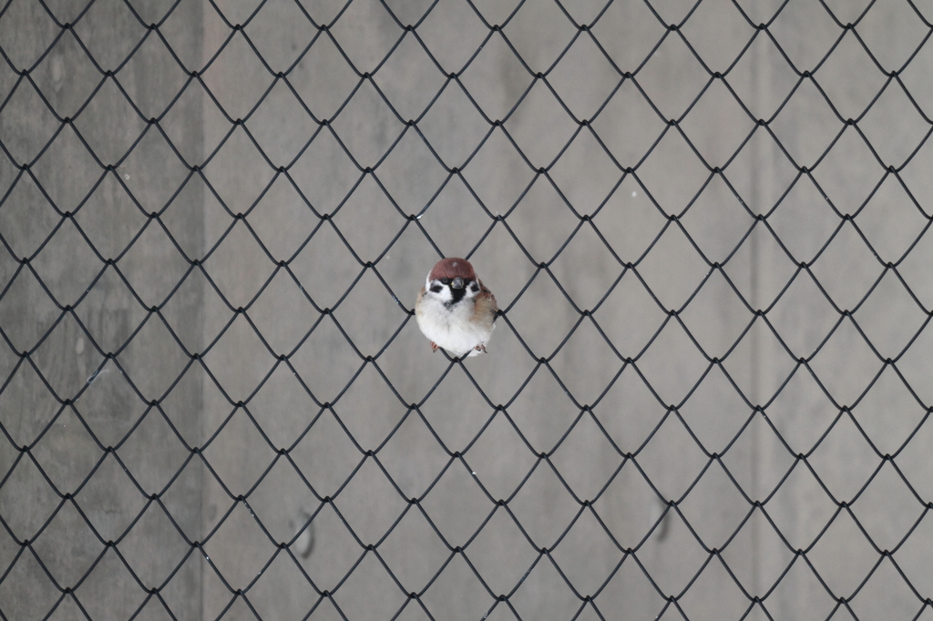捕獲！？