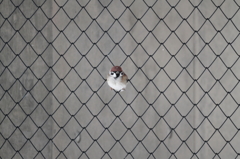 捕獲！？