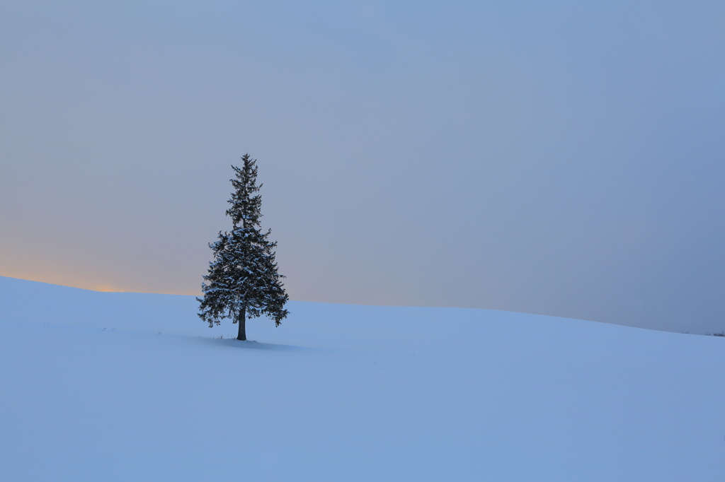 2015年の写真始まりました。