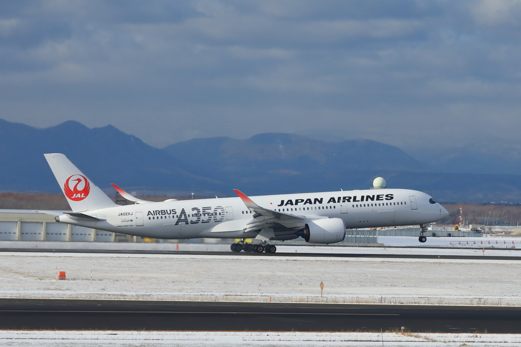 CTS-HND JL 504