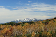大雪山と望岳台の黄葉
