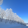 霧氷の路