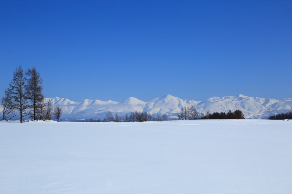 雪原と晴天と十勝岳遠景