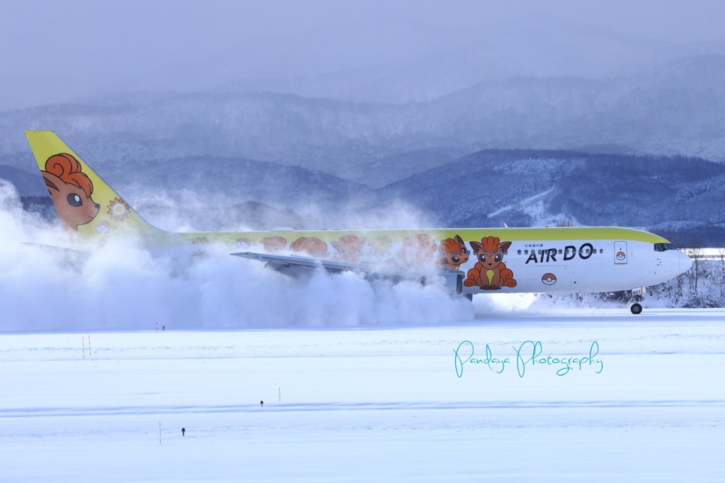 AIR DO ロコンジェット
