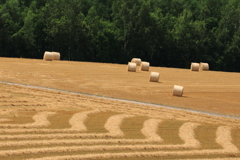 Straw line and Straw roll