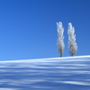 雪原