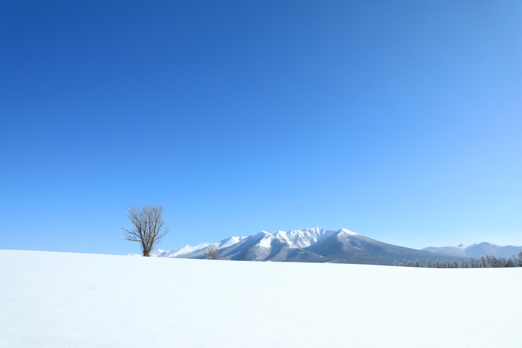 前富良野岳と青空