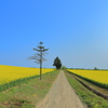 青空黄色に土の路