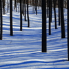 Blue stripe