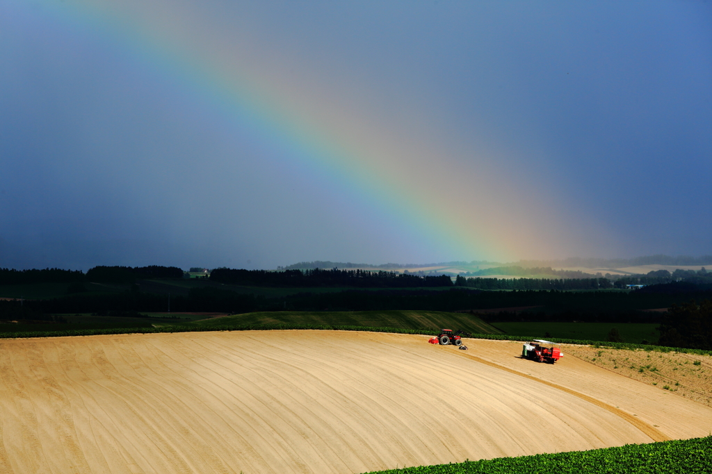 Rainbow Festival