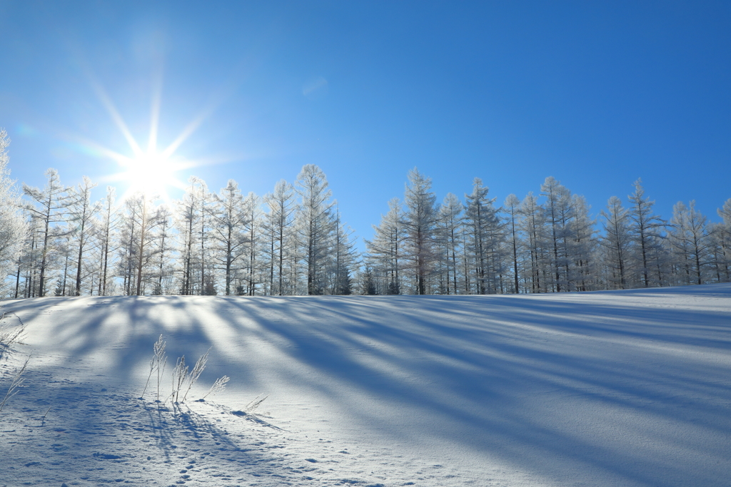 -18度　快晴　霧氷