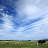 牧場の秋空