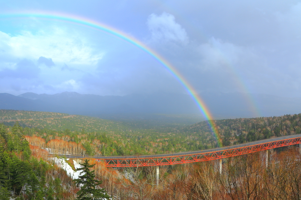 rainbowとbridge